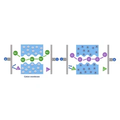 الکترودیالیز دوقطبی